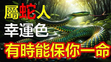 屬蛇顏色|【屬蛇 顏色】屬蛇之人必知！2024幸運顏色、忌諱指南，助你轉。